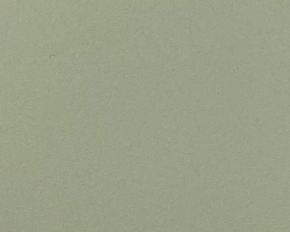 ファニチャーリノリウム 4183 pistachio