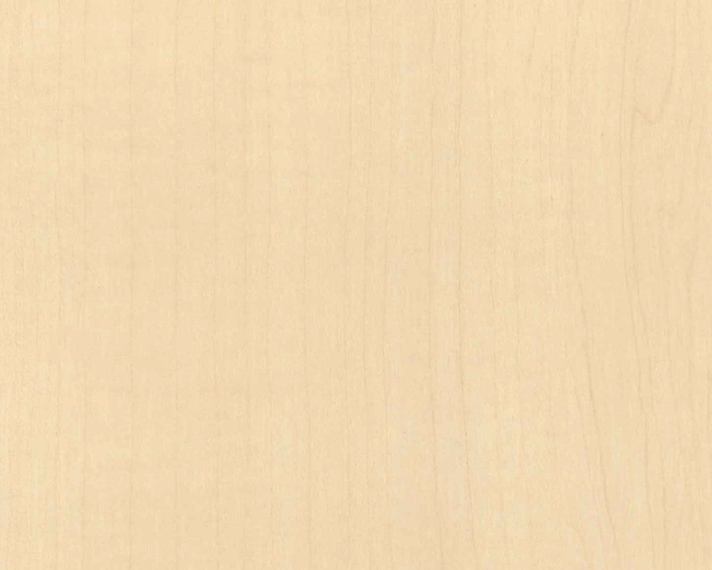 フィーゴダップ 粘着付き F-3015