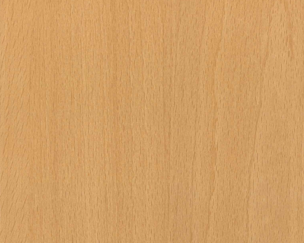 フィーゴダップ 粘着付き F-4001