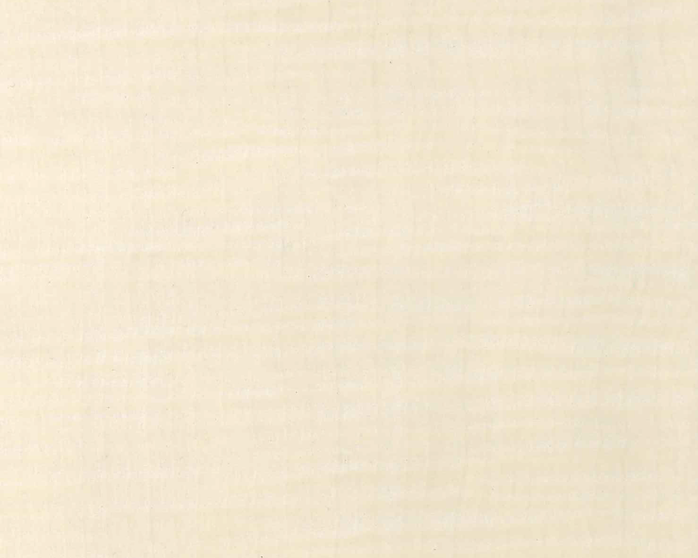 メラミン M-7501 シカモアベージュ フラット