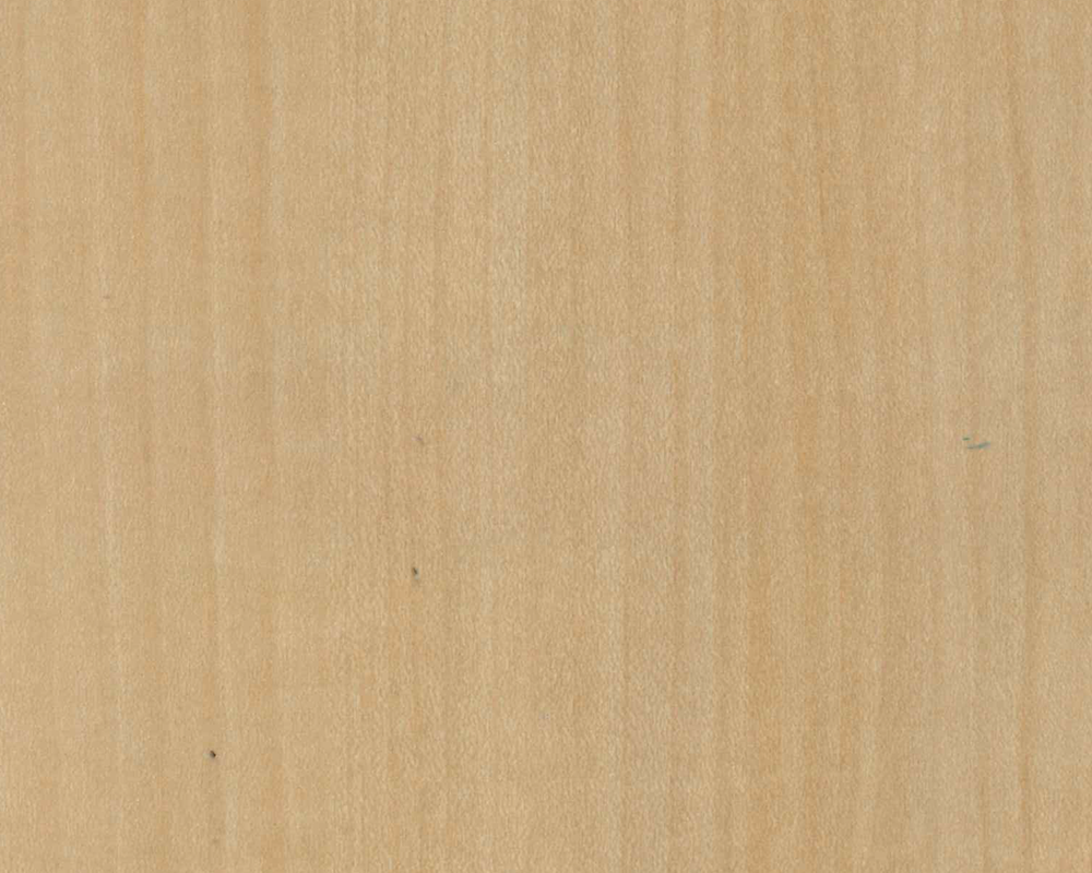 強化紙化粧合板 SSP-1180