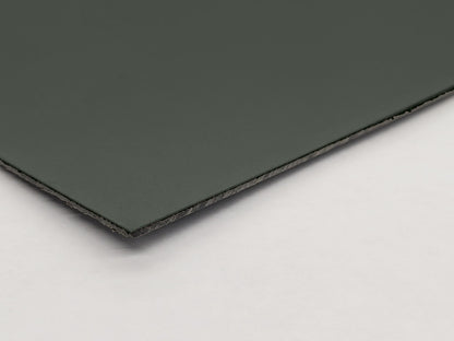 ポリウス　IC-243
