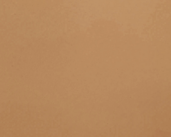 ファニチャーリノリウム　4003　walnut