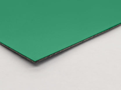 ポリウス　IC-815