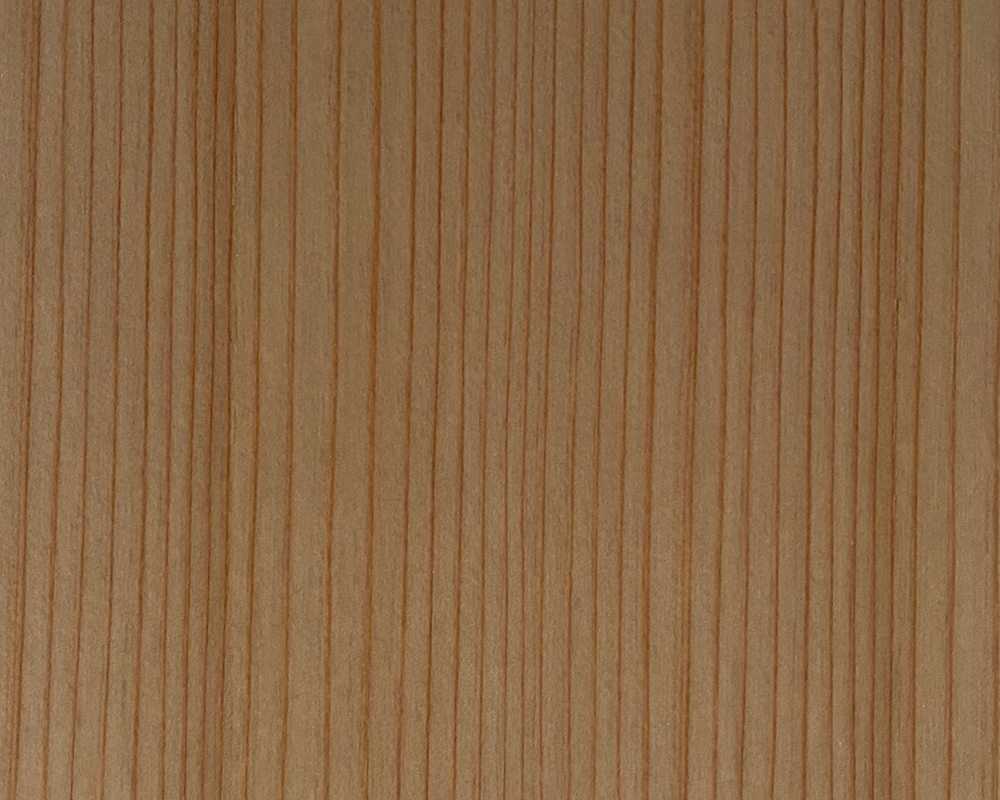 突板化粧板　T-251　杉柾目　無塗装