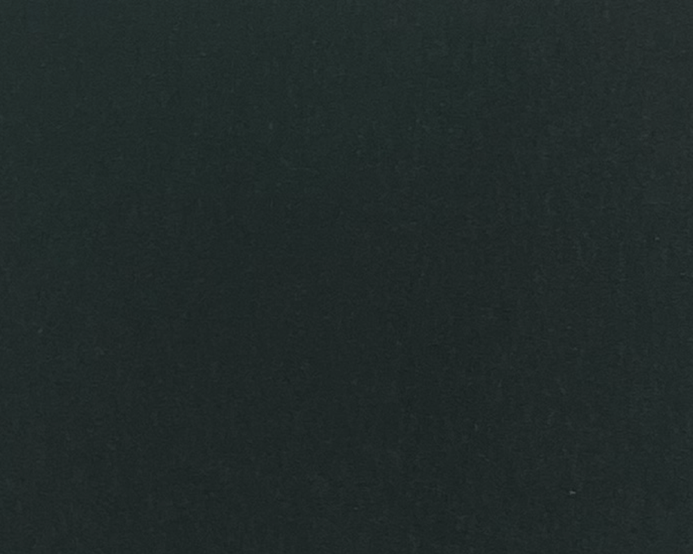 ファニチャーリノリウム　4174　conifer
