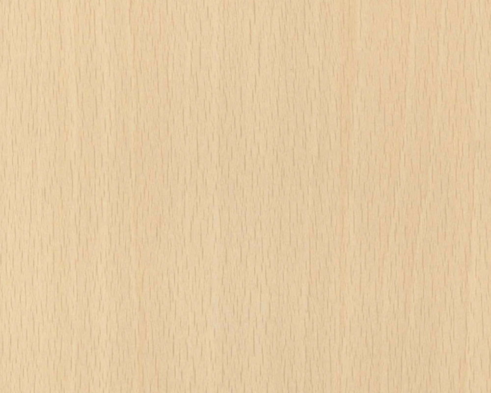 フィーゴダップ　粘着付き　F-3016