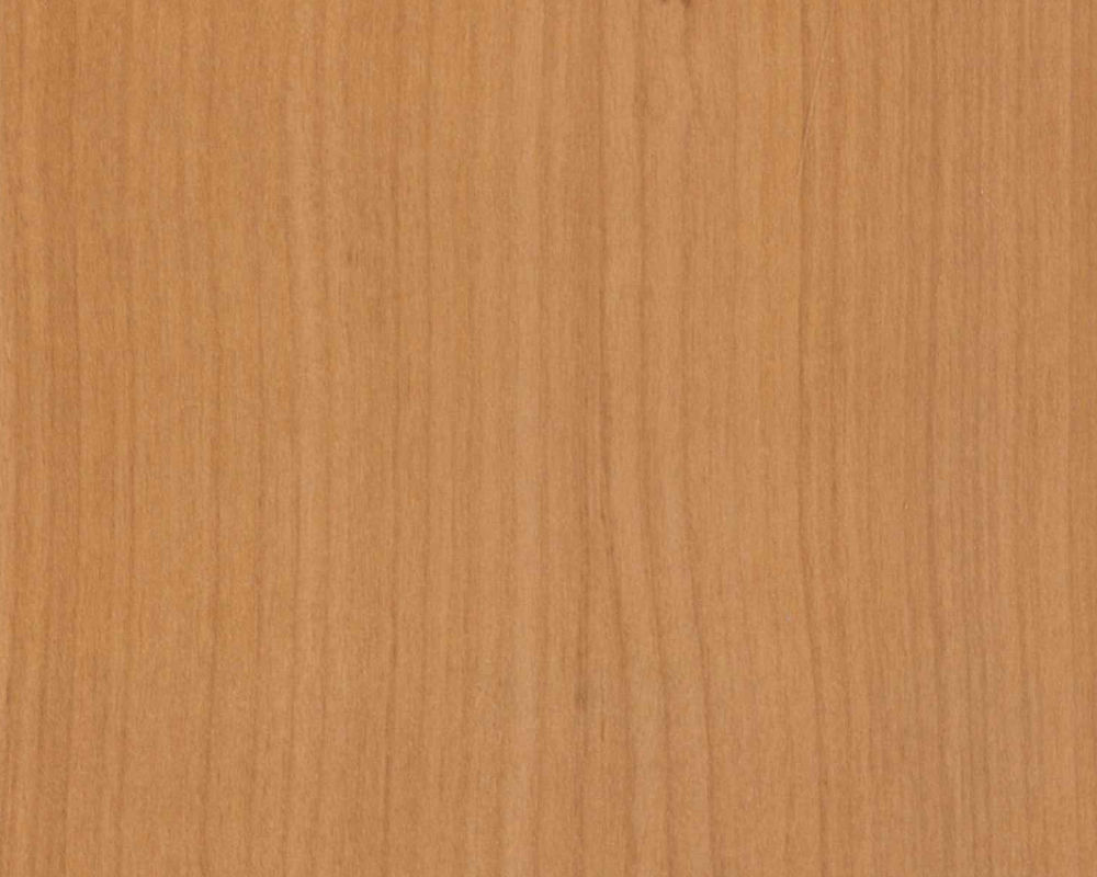 フィーゴダップ　F-4002