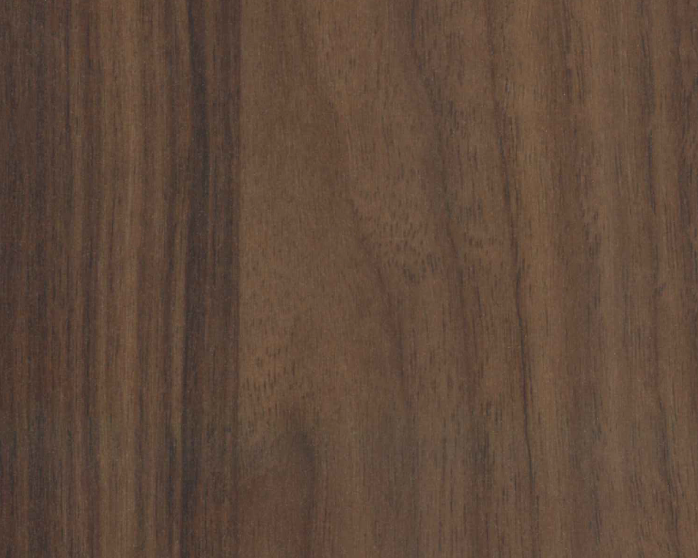 フィーゴダップ　F-4005