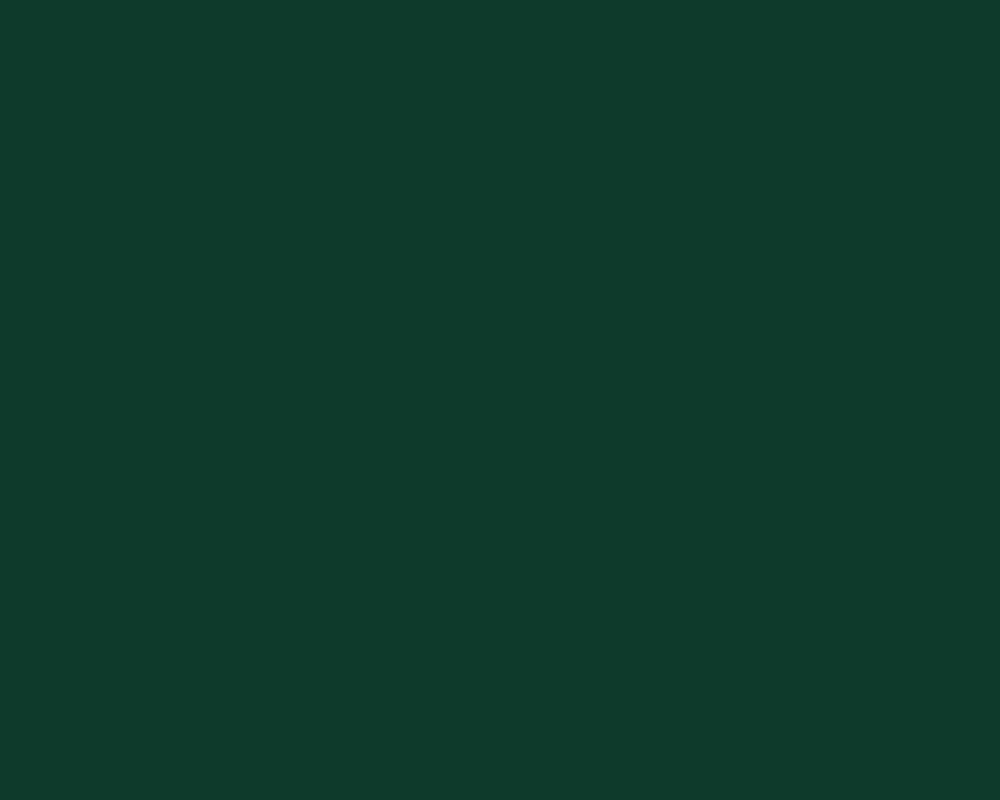 ポリウス　IC-855